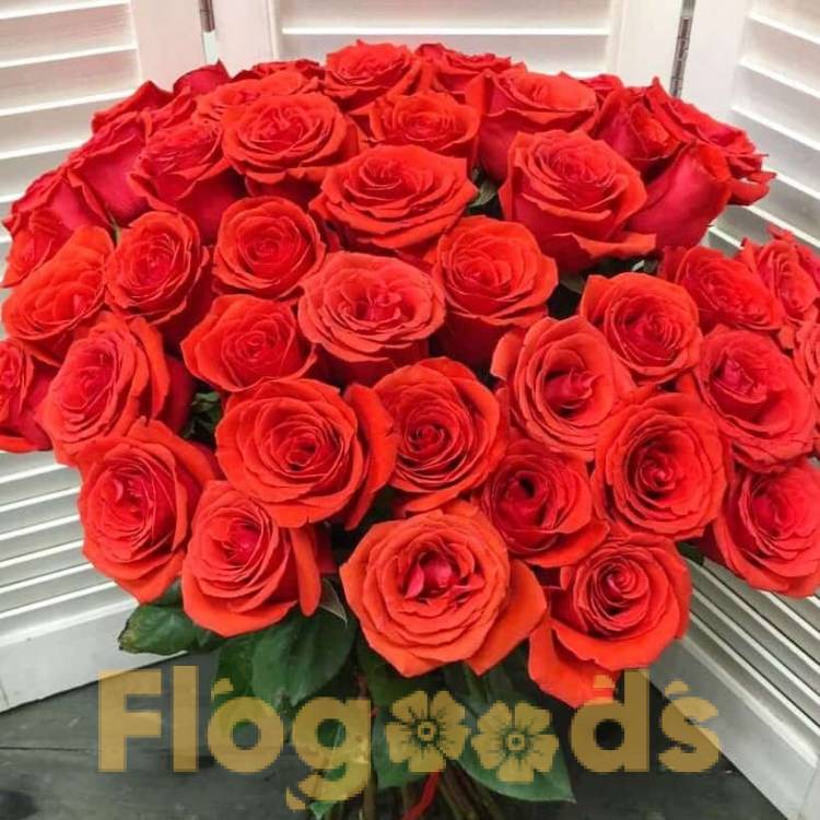 51 красная роза за 19 498 руб.